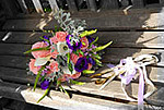 Terry and Jane (Registry Office Package)
